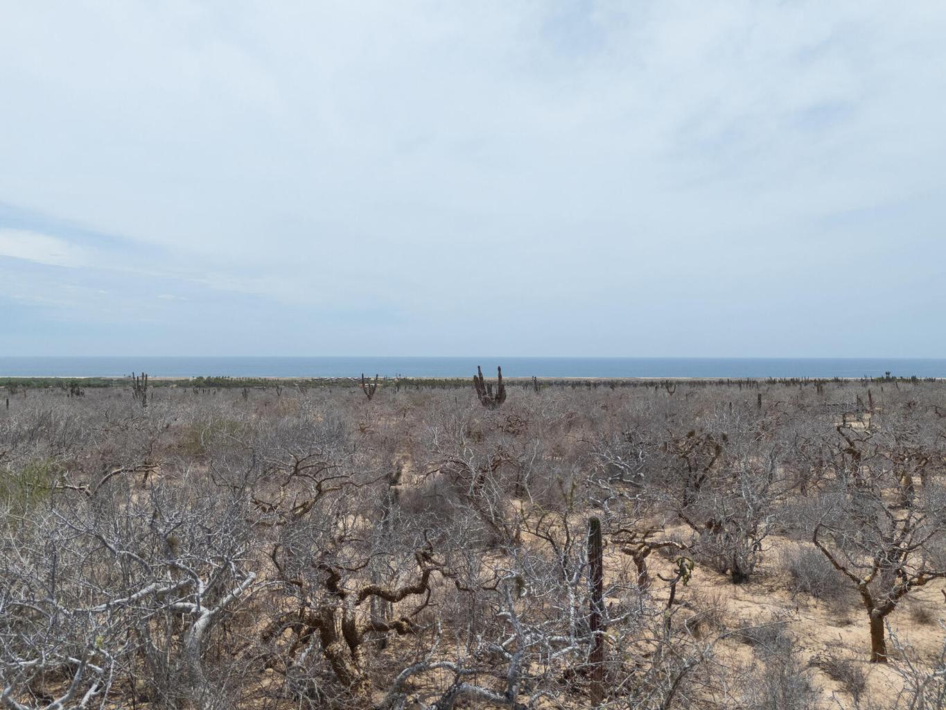 Lot in Las Playitas, Pacific, photo 2