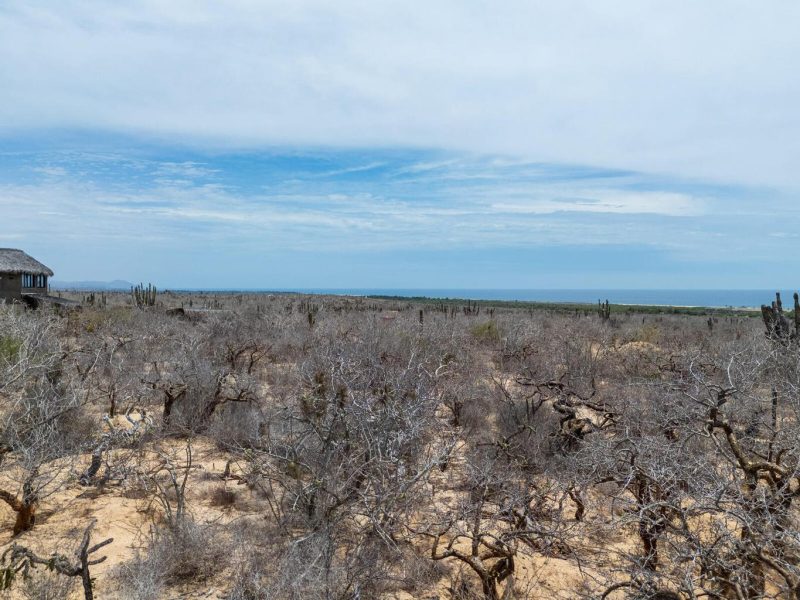 Lot in Las Playitas, Pacific