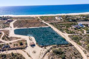 calle sin nombre, The Tequila Ranch, Pacific