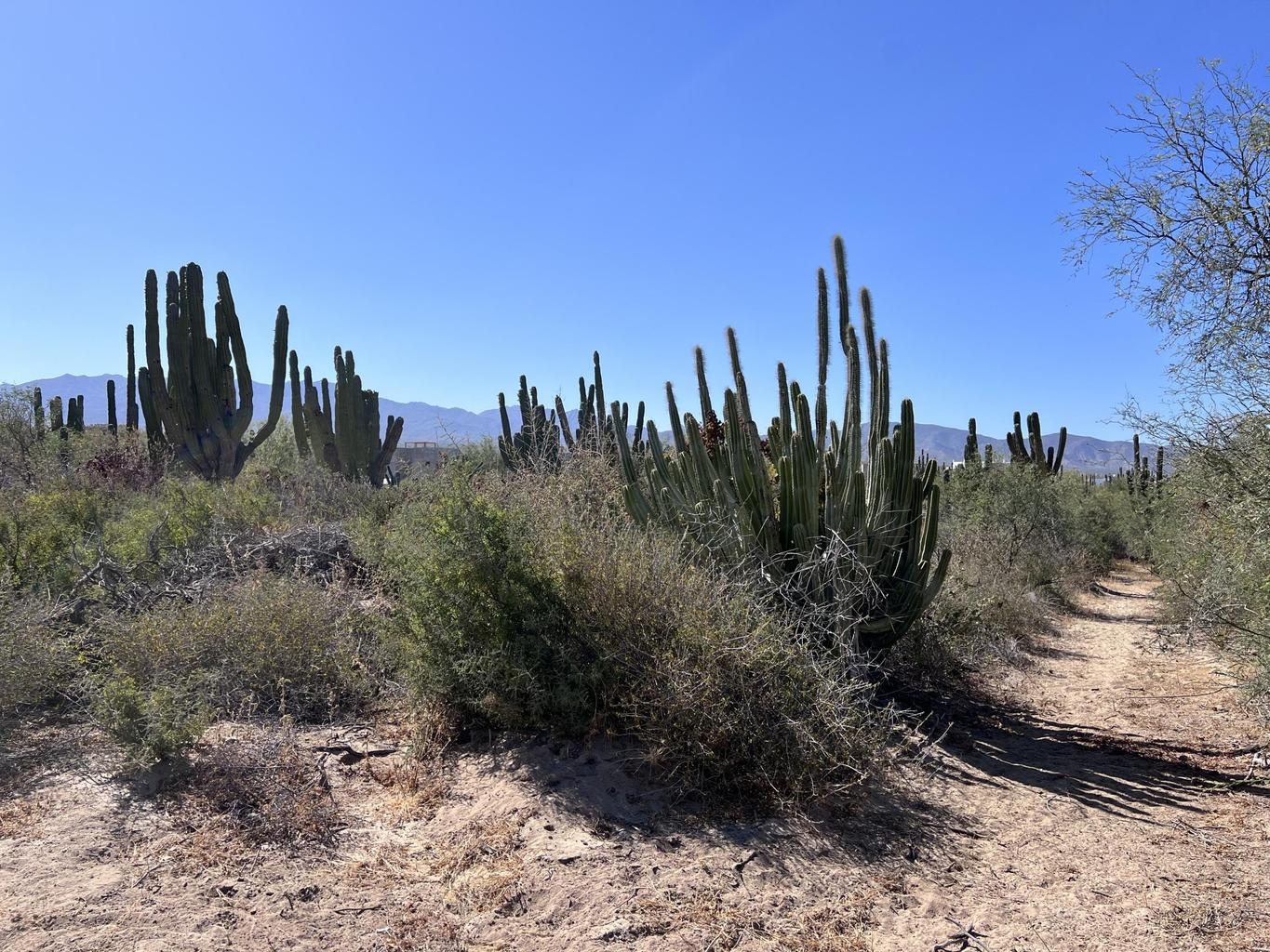 Lot 3, Lomas de Playa Sur, La Paz, photo 2