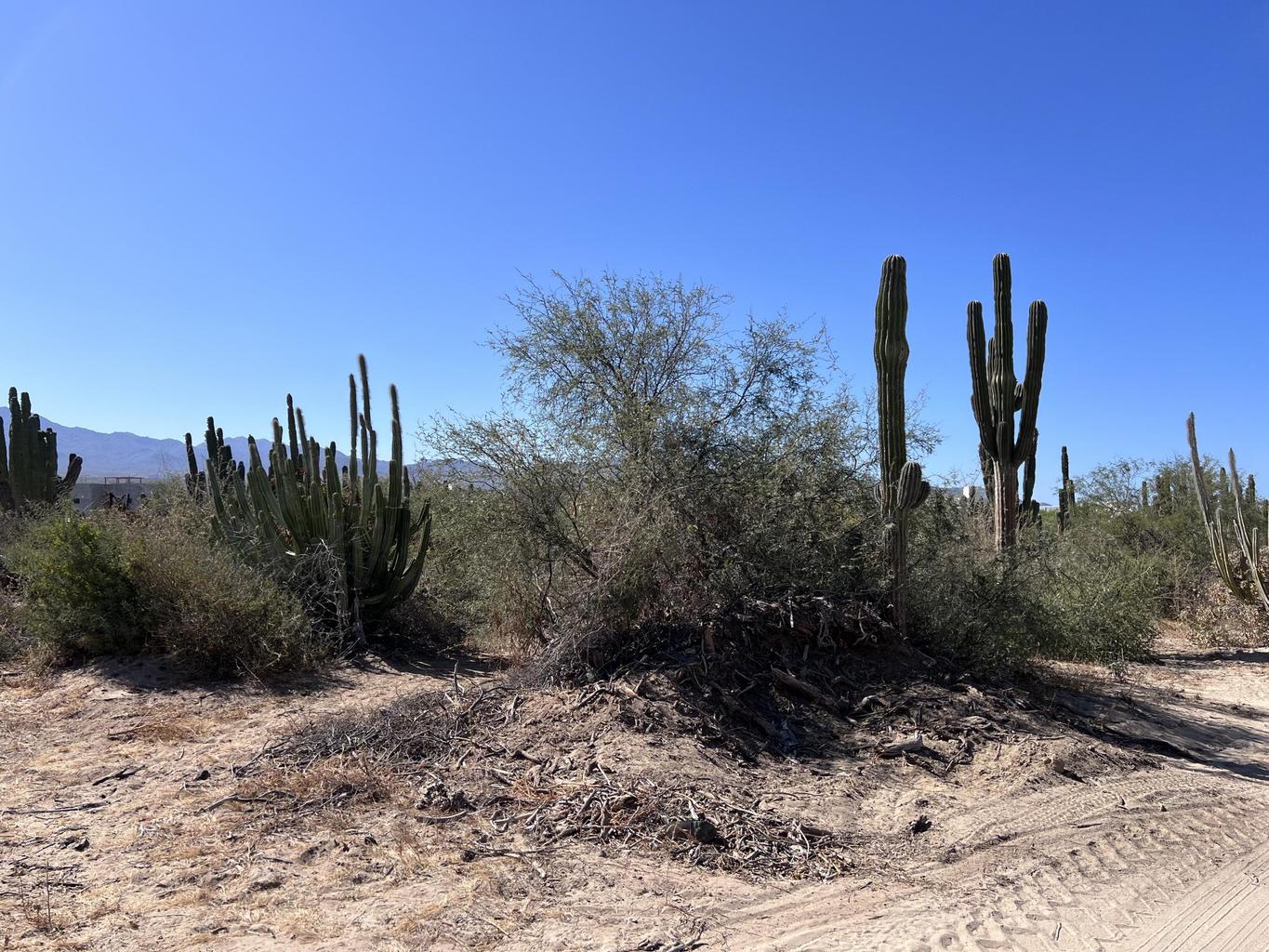 Lot 3, Lomas de Playa Sur, La Paz, photo 3