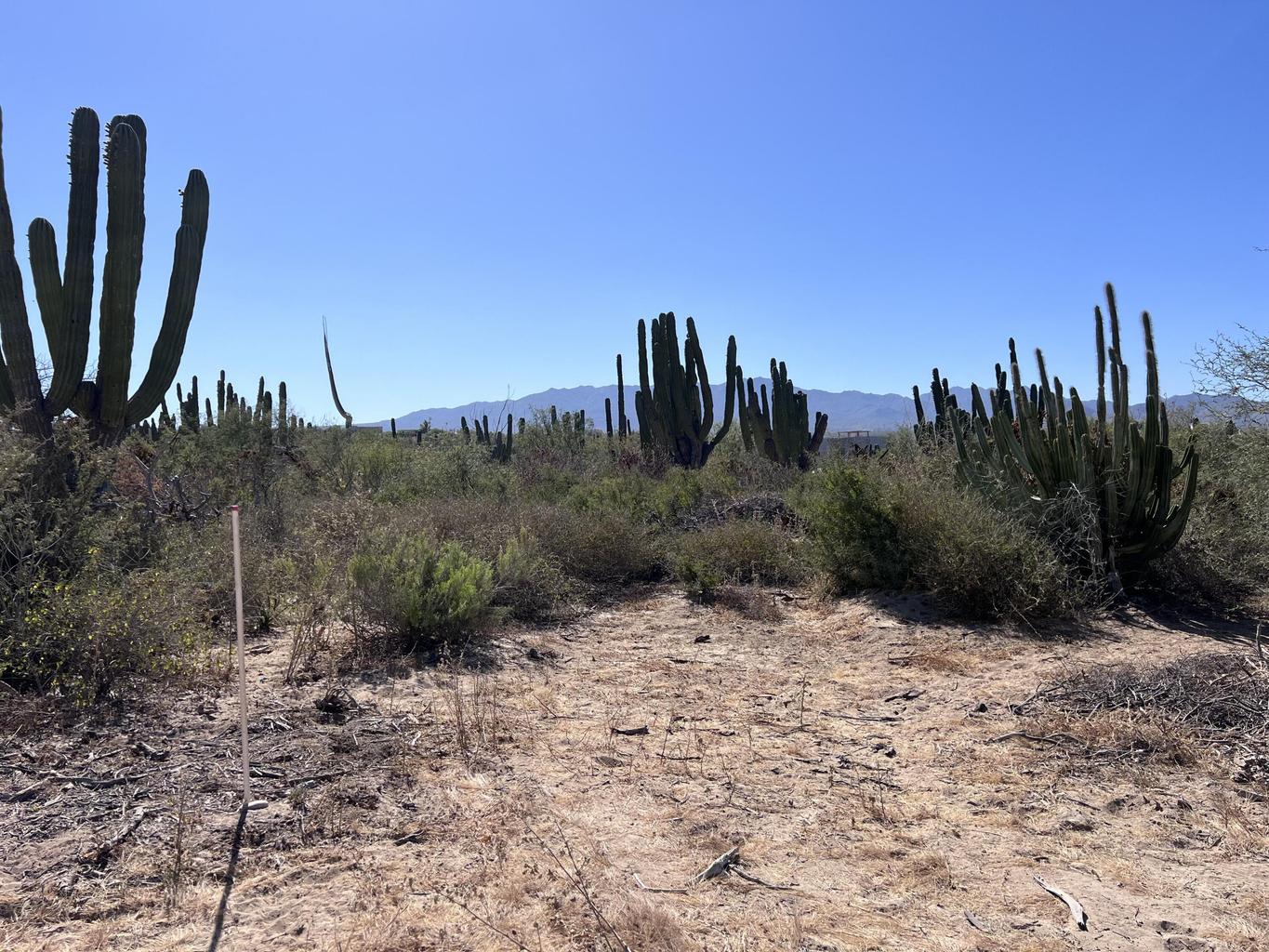 Lot 3, Lomas de Playa Sur, La Paz, photo 5