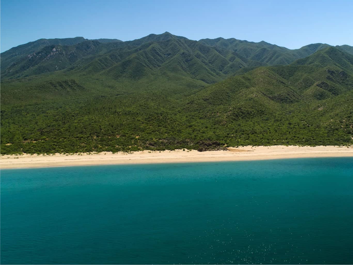 Lot in Boca del Alamo, East Cape, photo 5