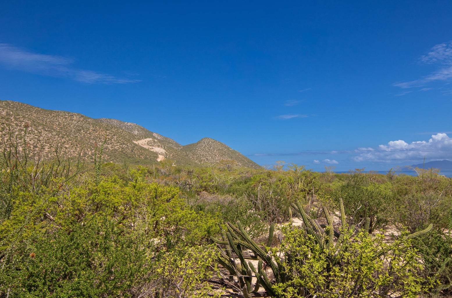 El Jalito, El Sargento, La Paz, photo 4