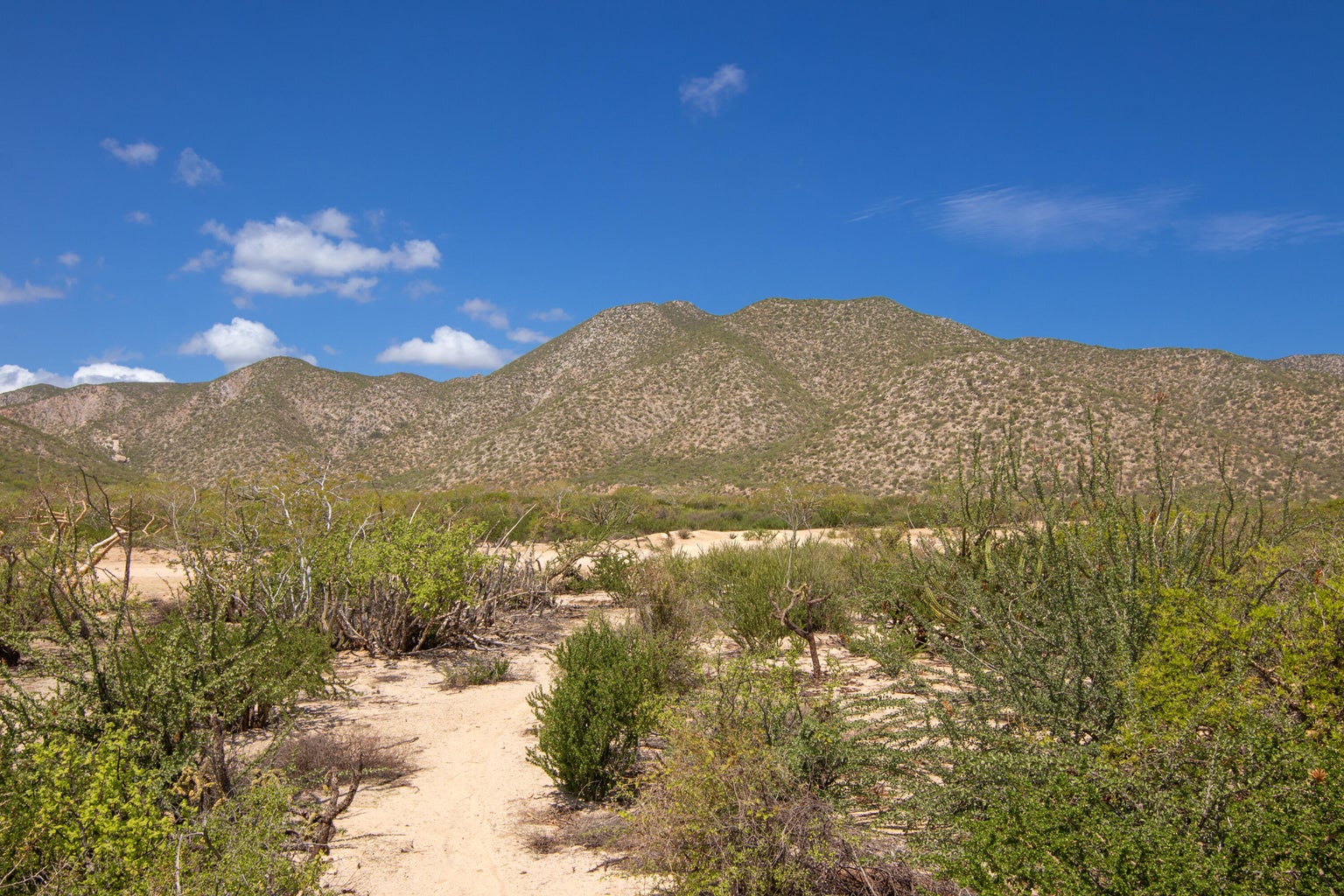 El Jalito, El Sargento, La Paz, photo 3