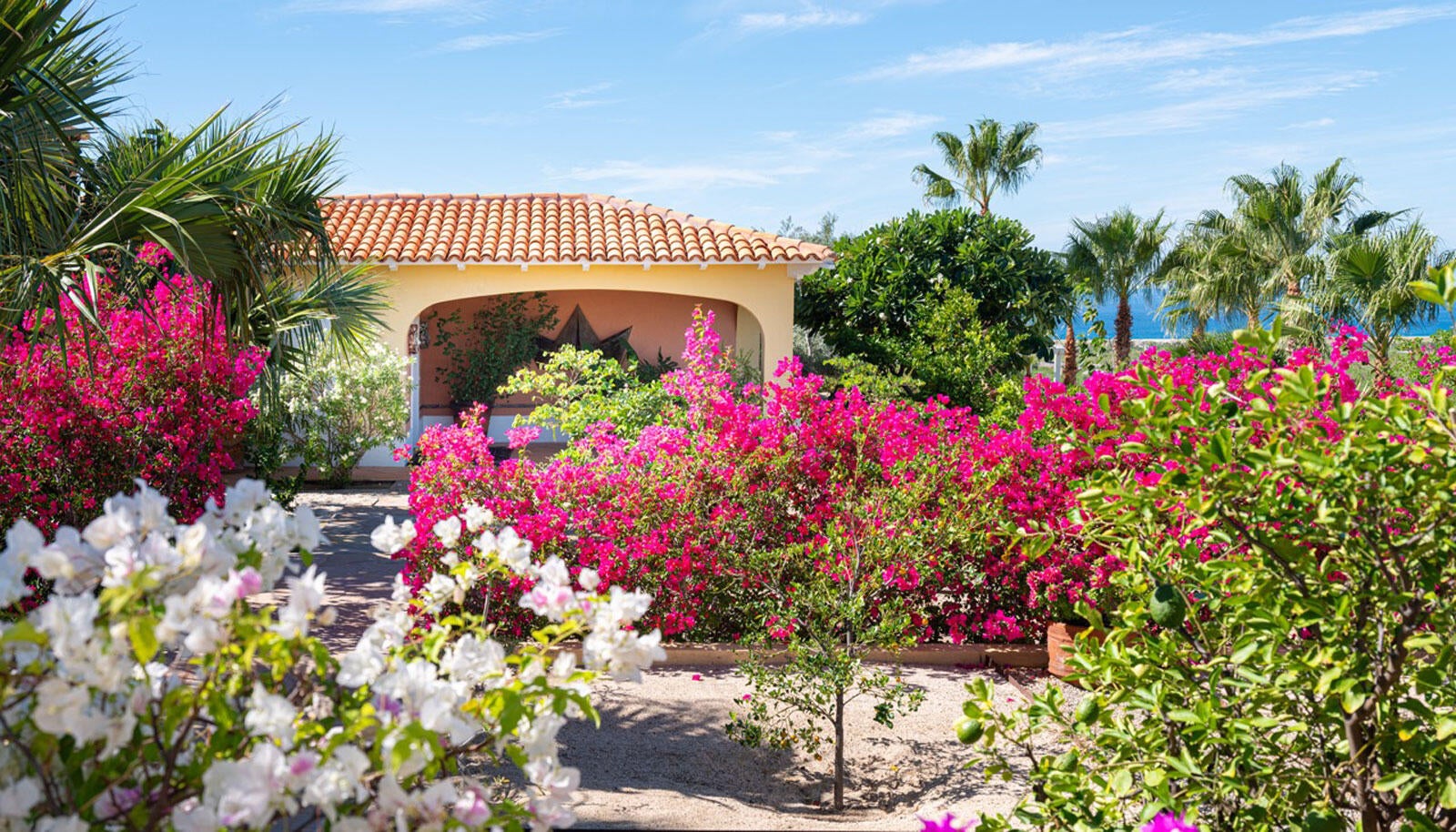 4-Bedroom House in Todos Santos-General, Pacific, photo 5