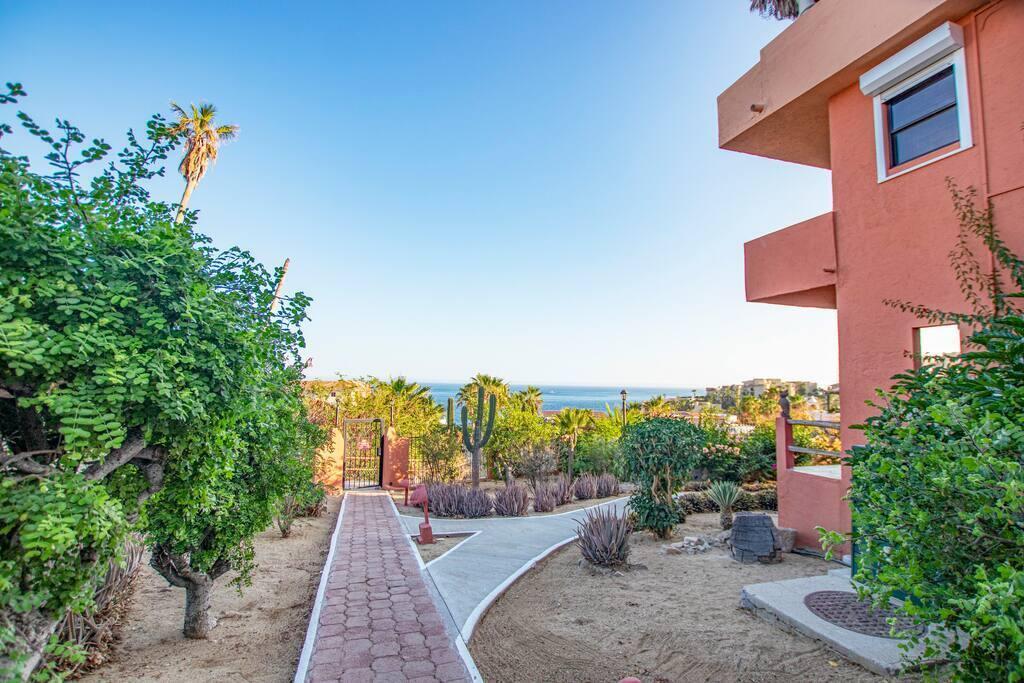 Plaza Calafia 199, Cabo Corridor, photo 3