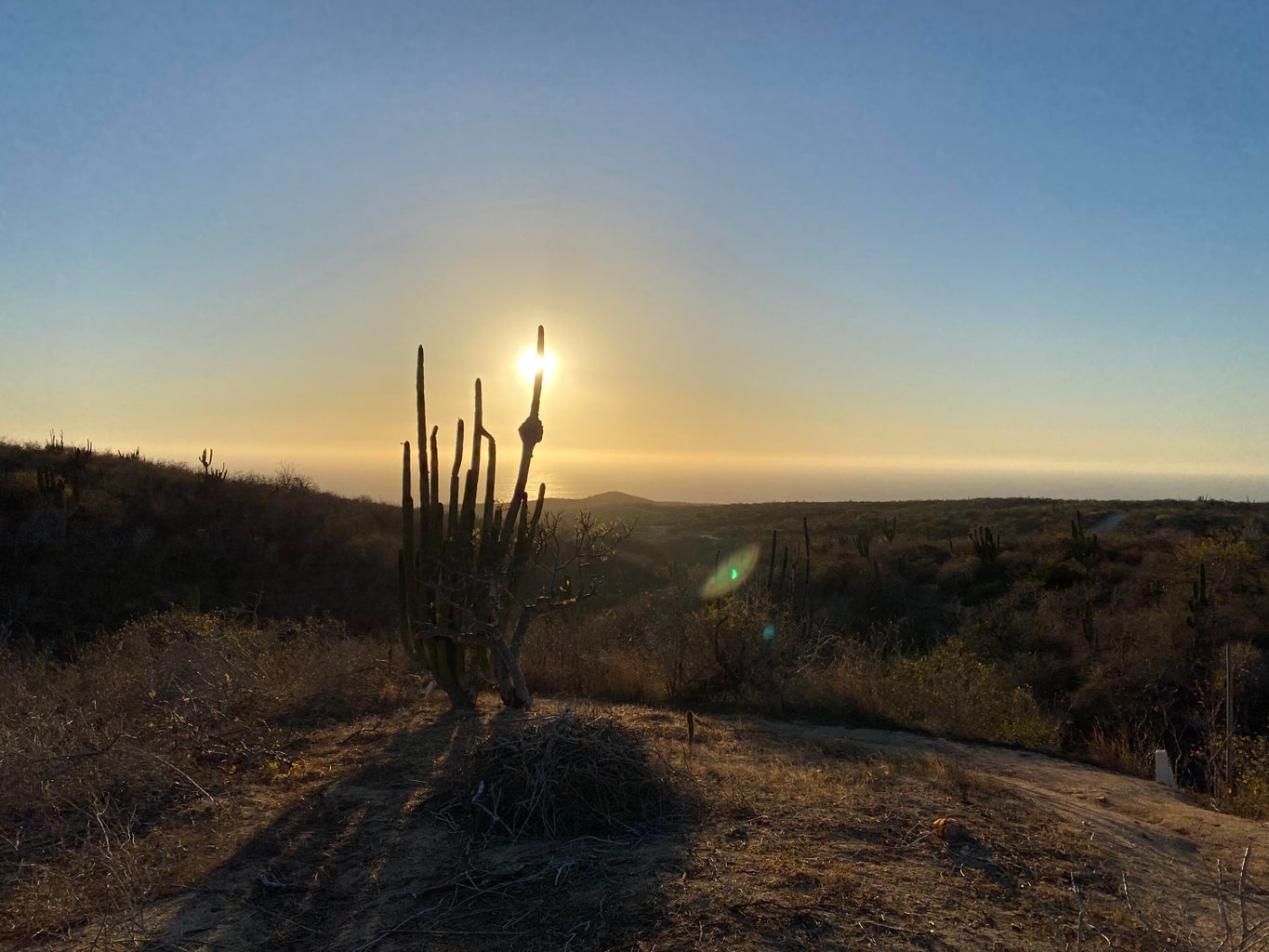 Lot in Rolling Hills, Pacific, photo 5