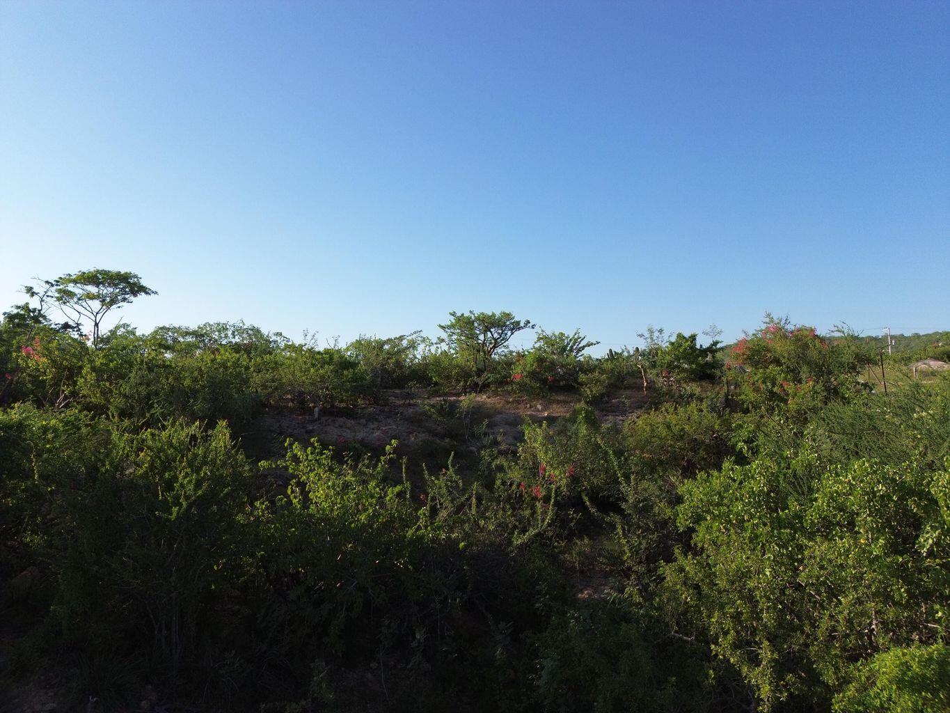 Lot in SJD Marina:General, San Jose del Cabo, photo 4