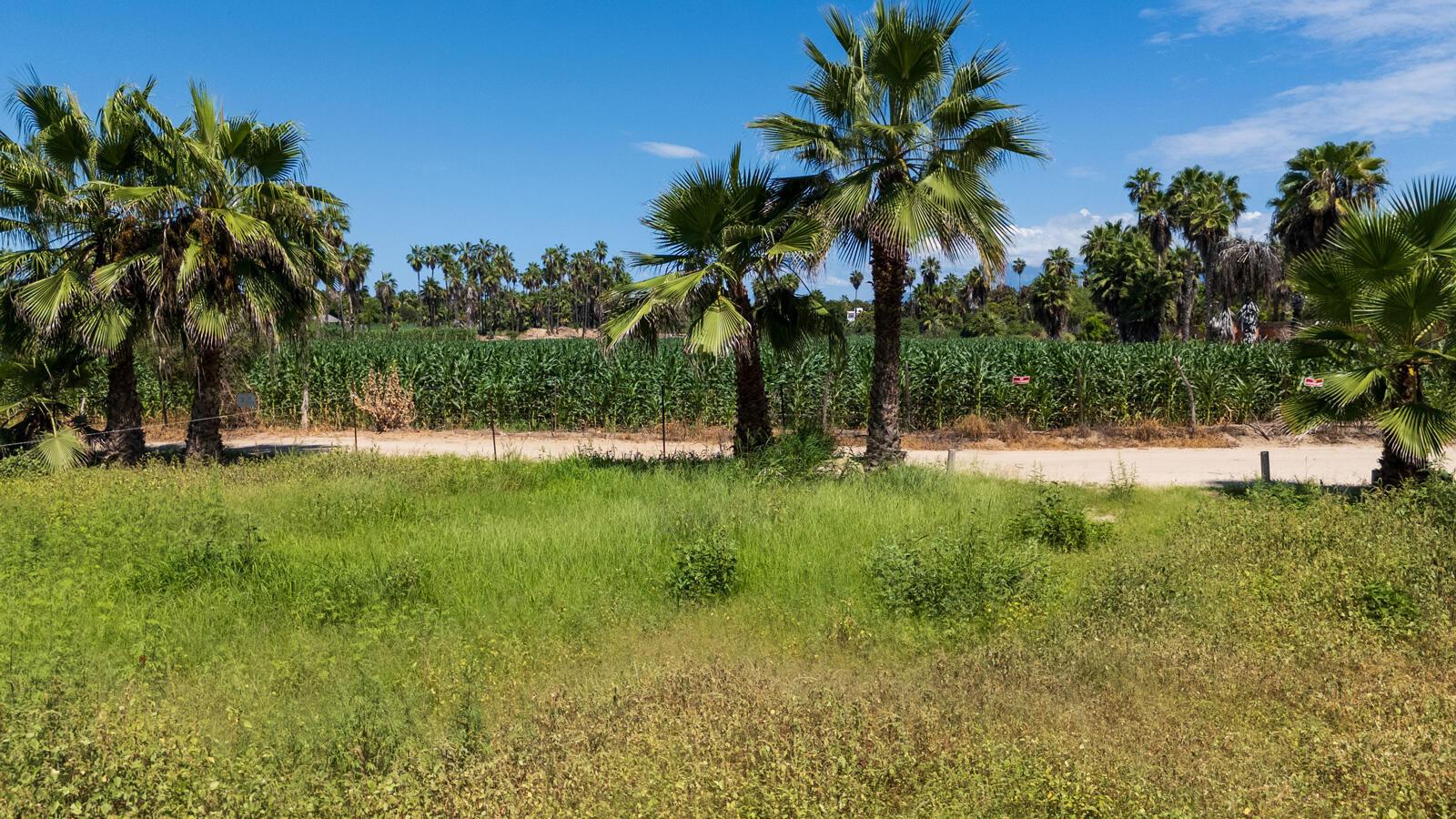 Lot in La Cachora, Pacific, photo 3