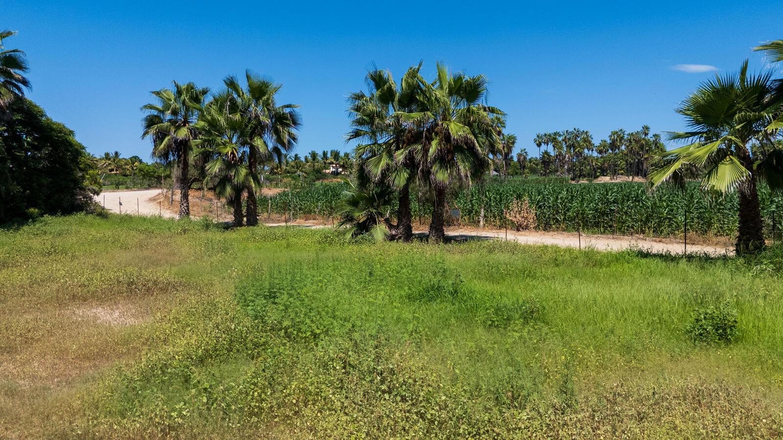 Lot in La Cachora, Pacific, photo 5