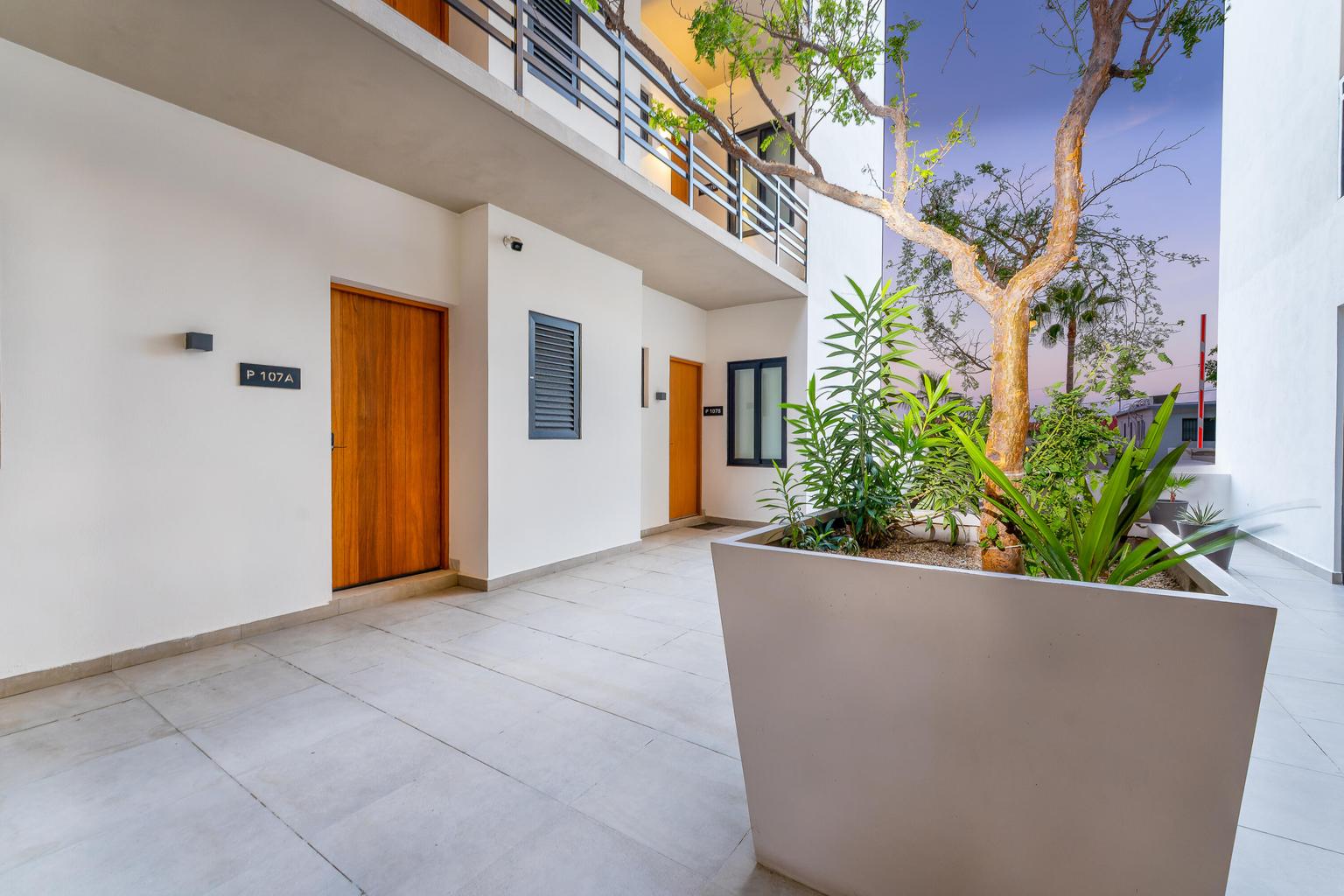 cabo san lucas 107-108, Cardinal Living, photo 2