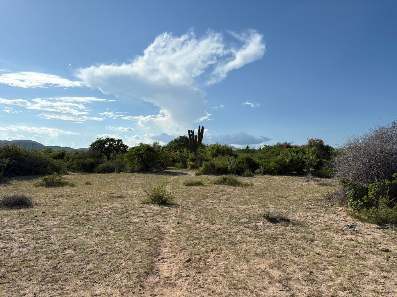 E-1 Boca del Salado, East Cape, photo 3