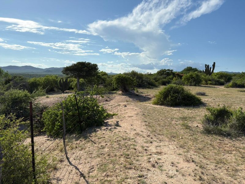 E-1 Boca del Salado, East Cape