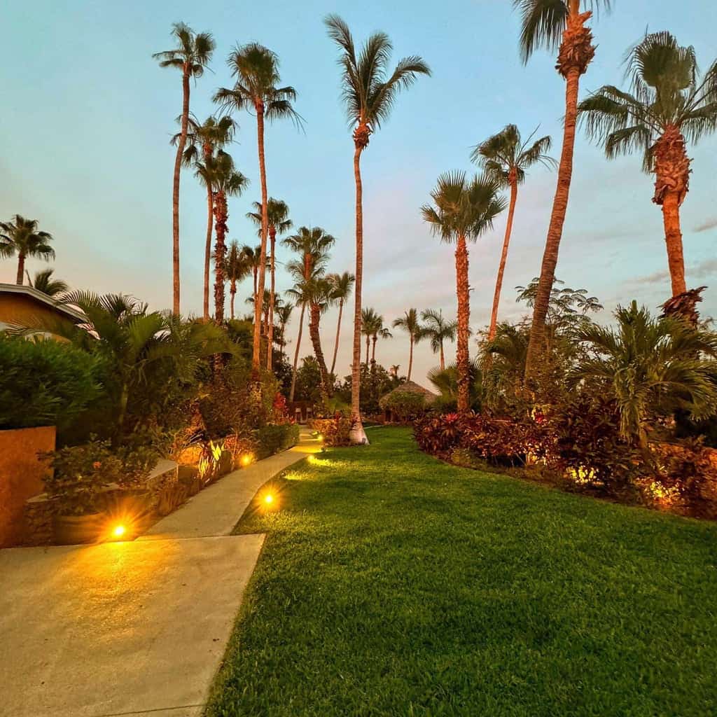 Costa Azul / Gringo hill, San Jose del Cabo, photo 2