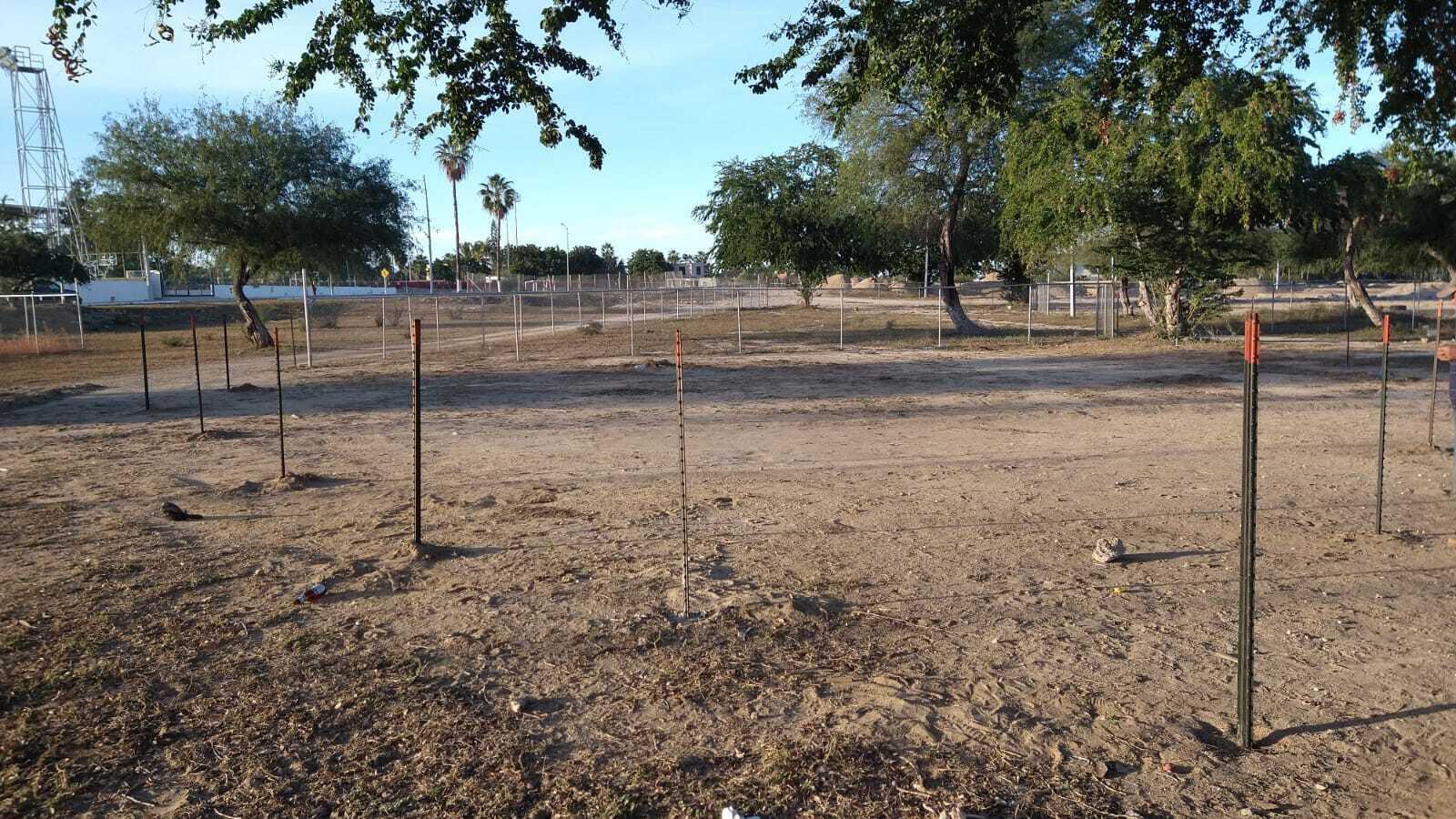Lote Mezquite Centro, SJD D/town:General, San Jose del Cabo, photo 3