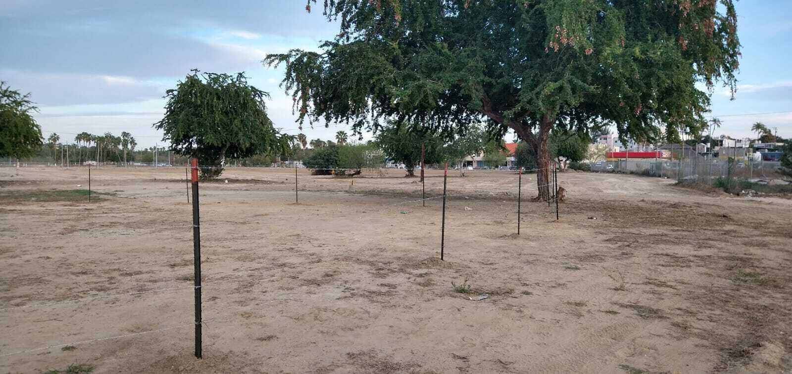 Lote Mezquite Centro, SJD D/town:General, San Jose del Cabo, photo 4