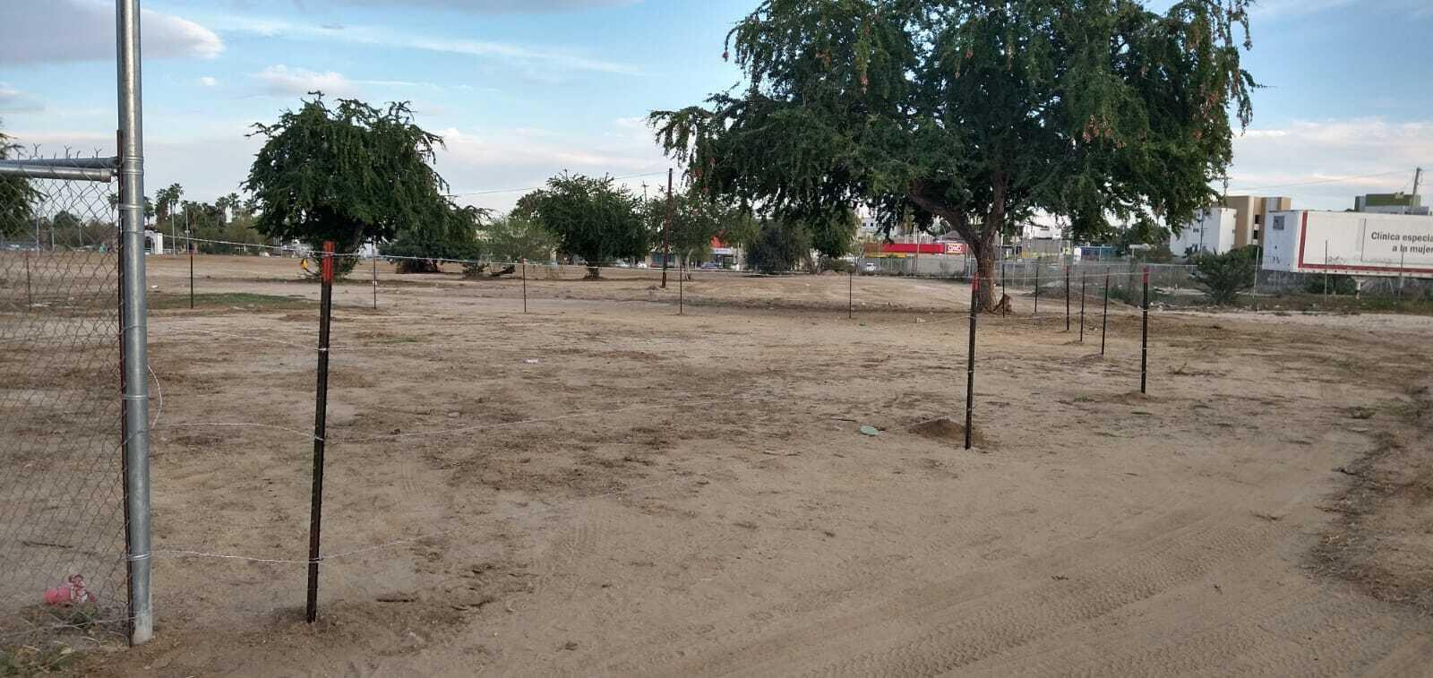 Lote Mezquite Centro, SJD D/town:General, San Jose del Cabo, photo 5