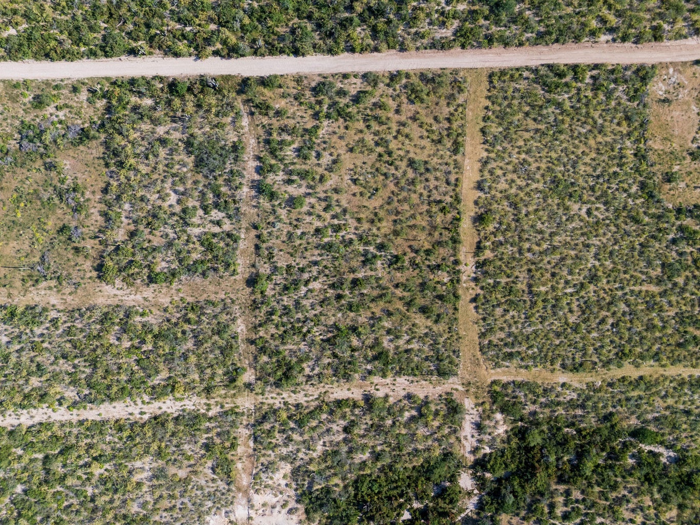 Lot in Las Playitas, Pacific, photo 3