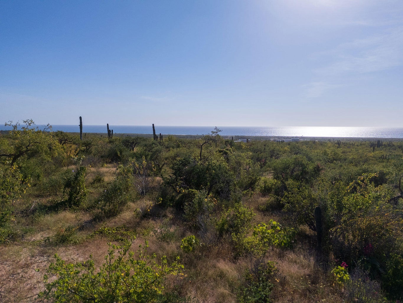 Lot in Las Playitas, Pacific, photo 4