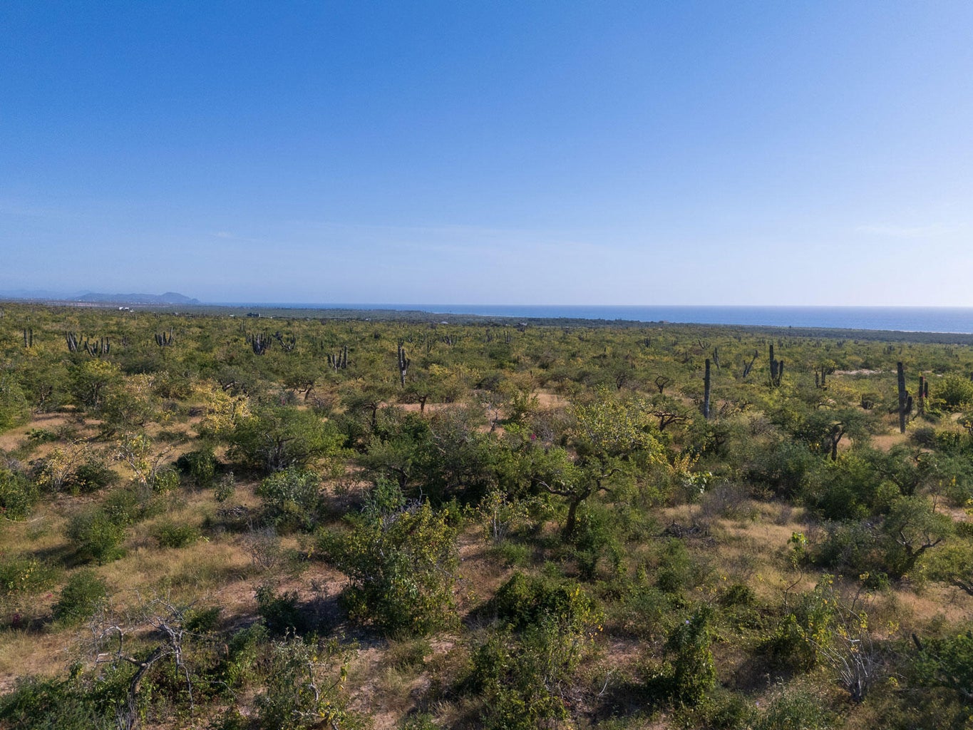 Lot in Las Playitas, Pacific, photo 5