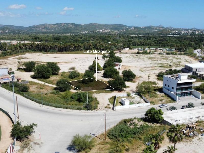 Lote Mezquite Centro, SJD D/town:General, San Jose del Cabo