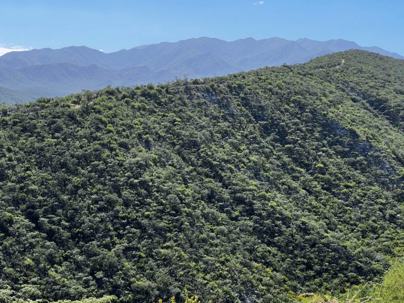 Lot in Los Barriles, East Cape