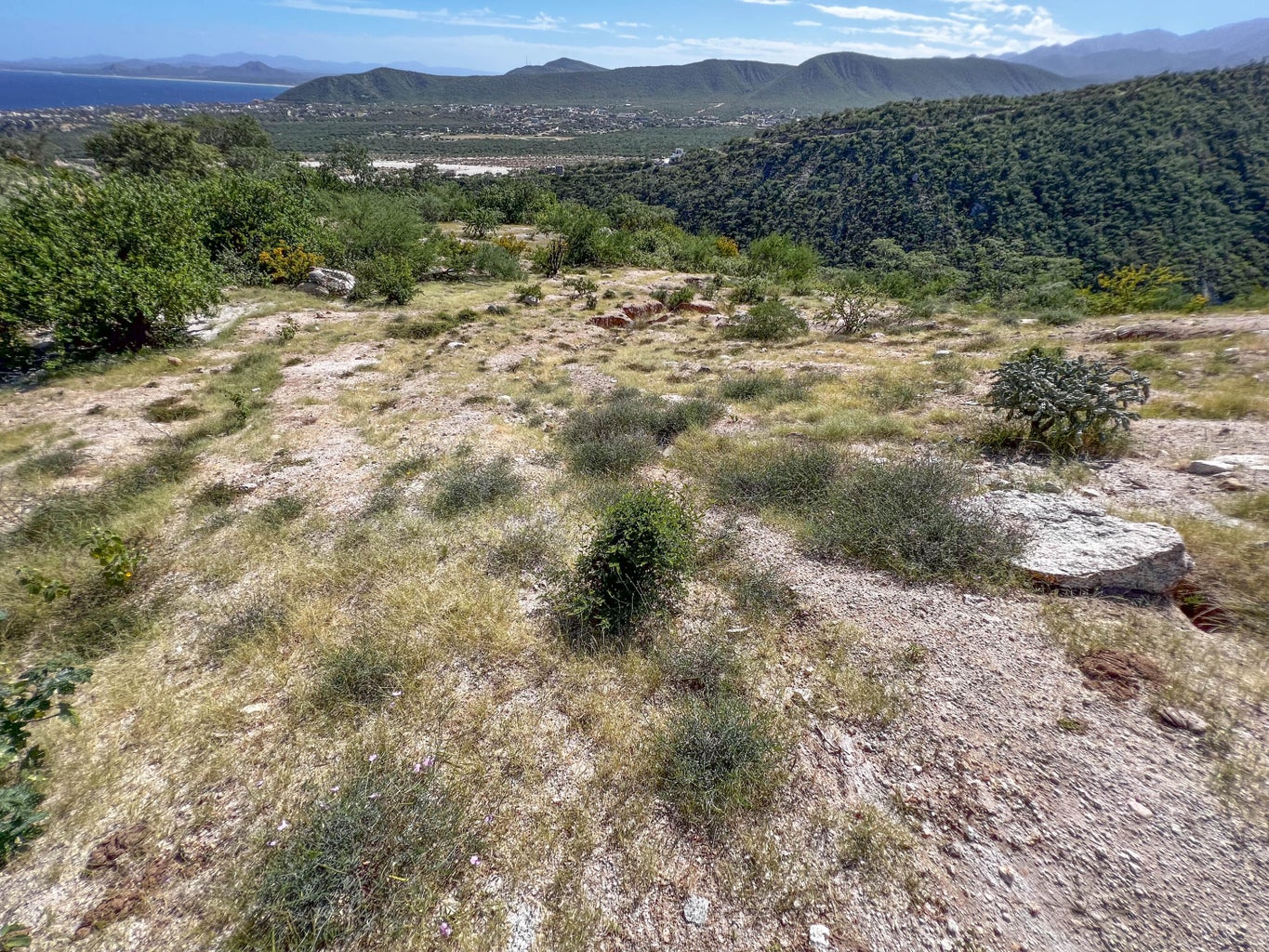 Lot in Los Barriles, East Cape, photo 3