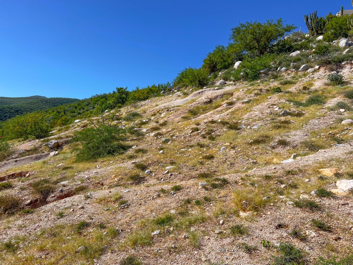Lot in Los Barriles, East Cape, photo 5