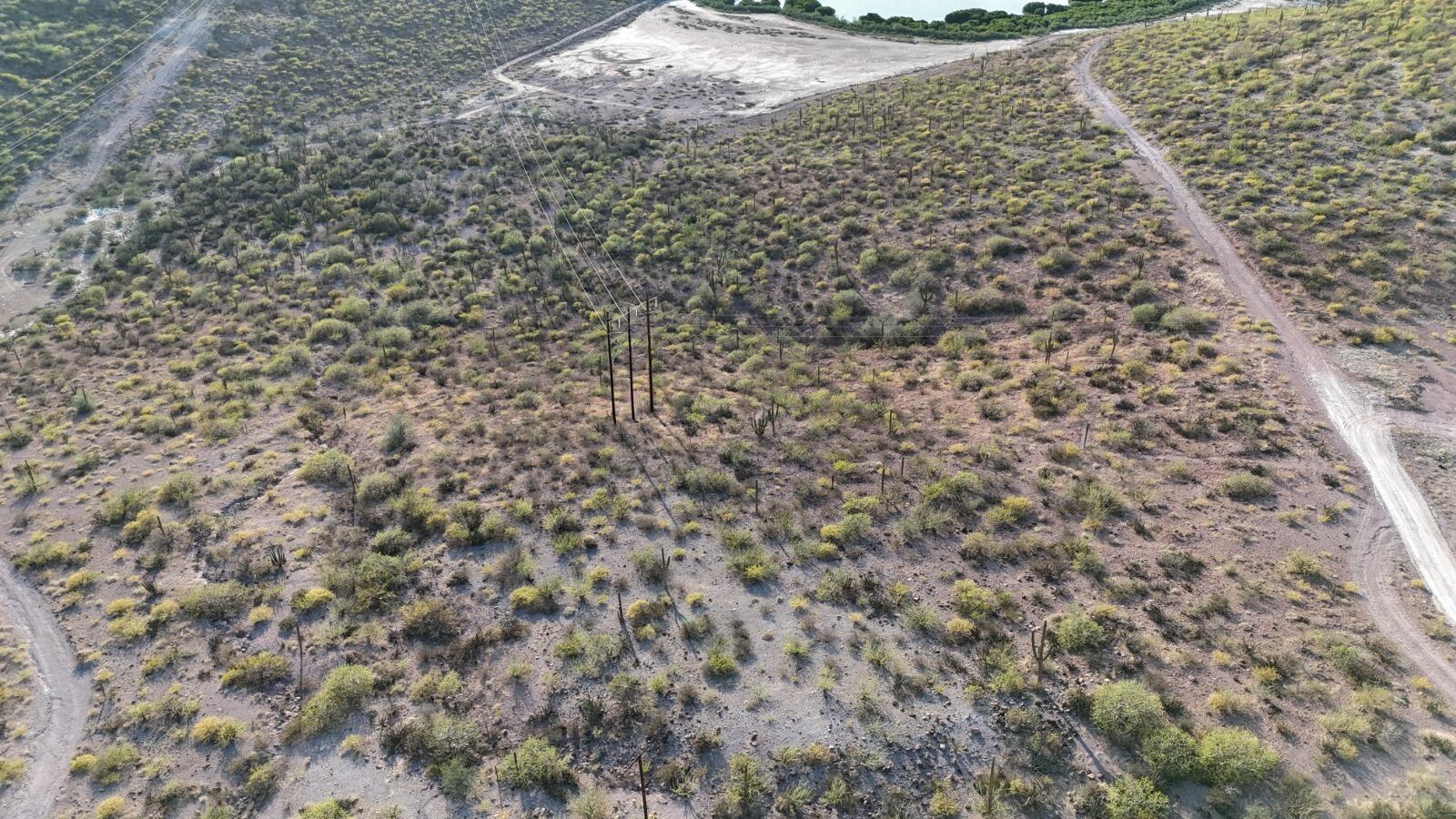 Lot in Costa Baja Resort, La Paz, photo 3