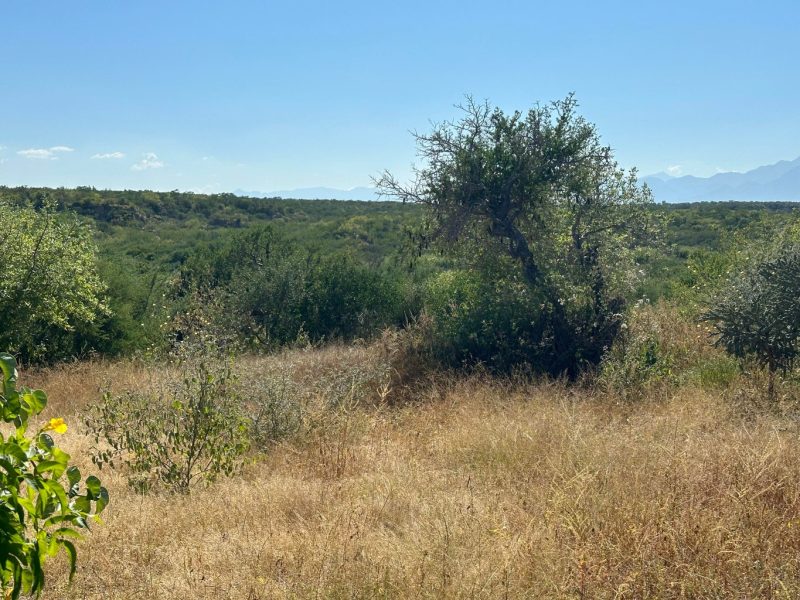 4 De la Manzana, Santa Cruz, East Cape
