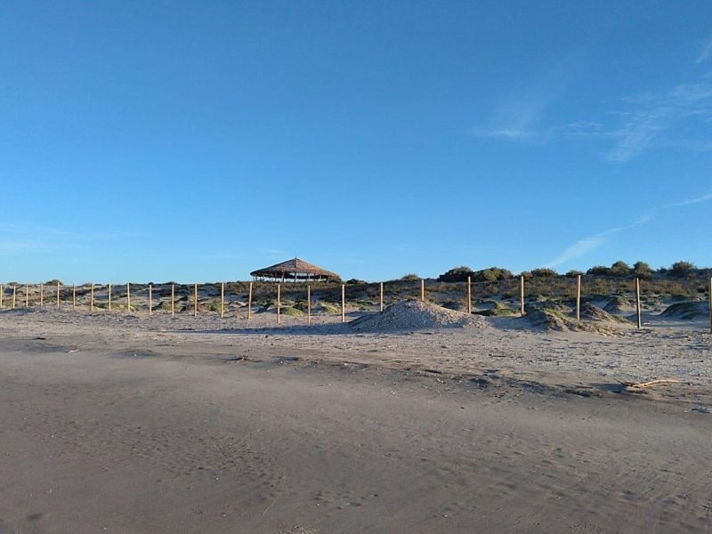 Lot in General, Mulege