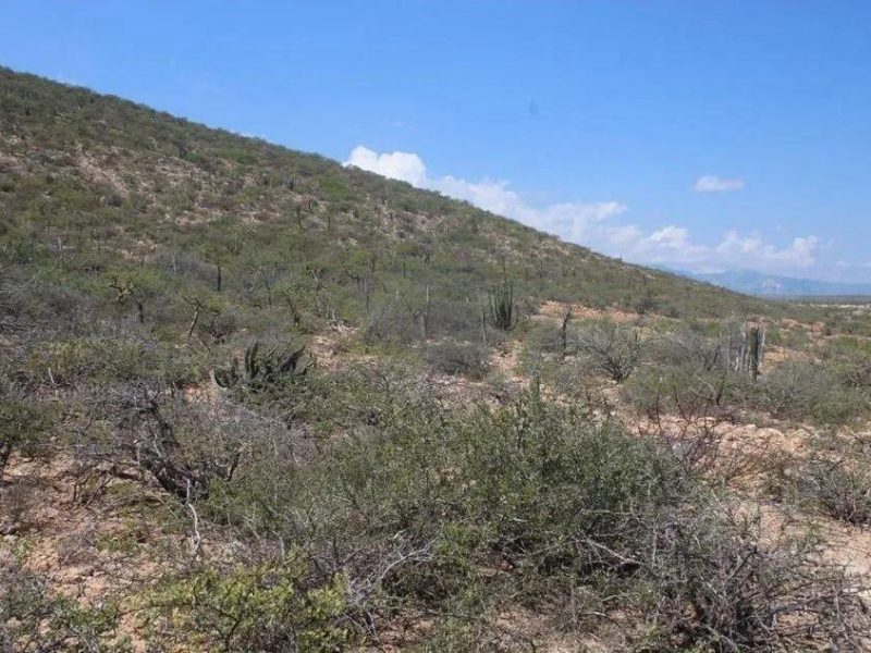 Punta Pescadero, Los Barriles, East Cape