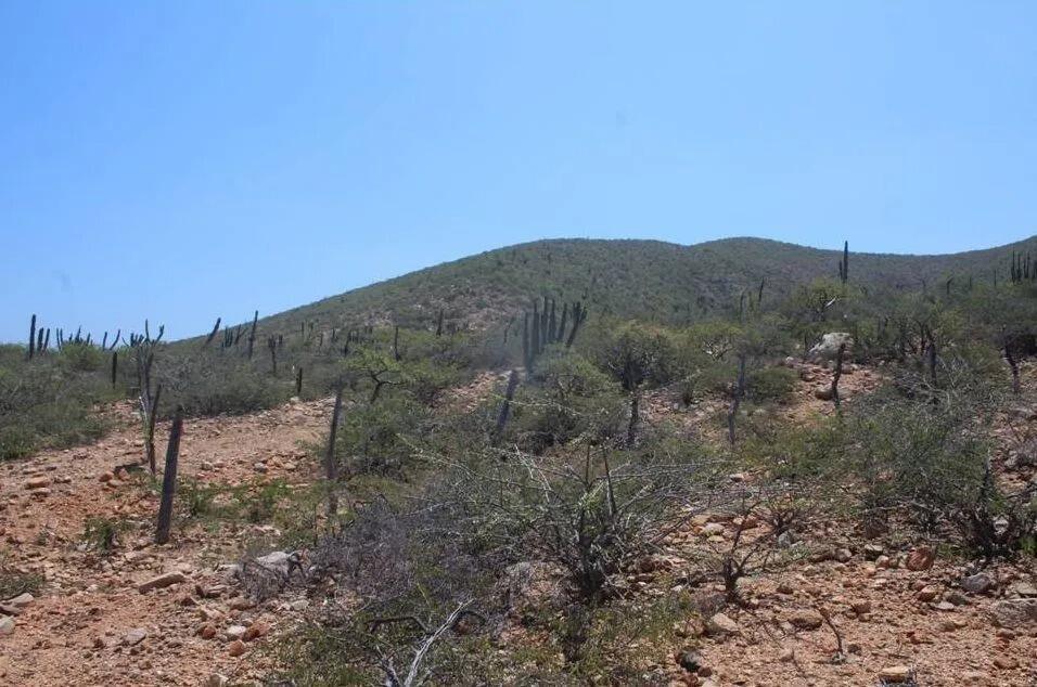 Punta Pescadero, Los Barriles, East Cape, photo 2