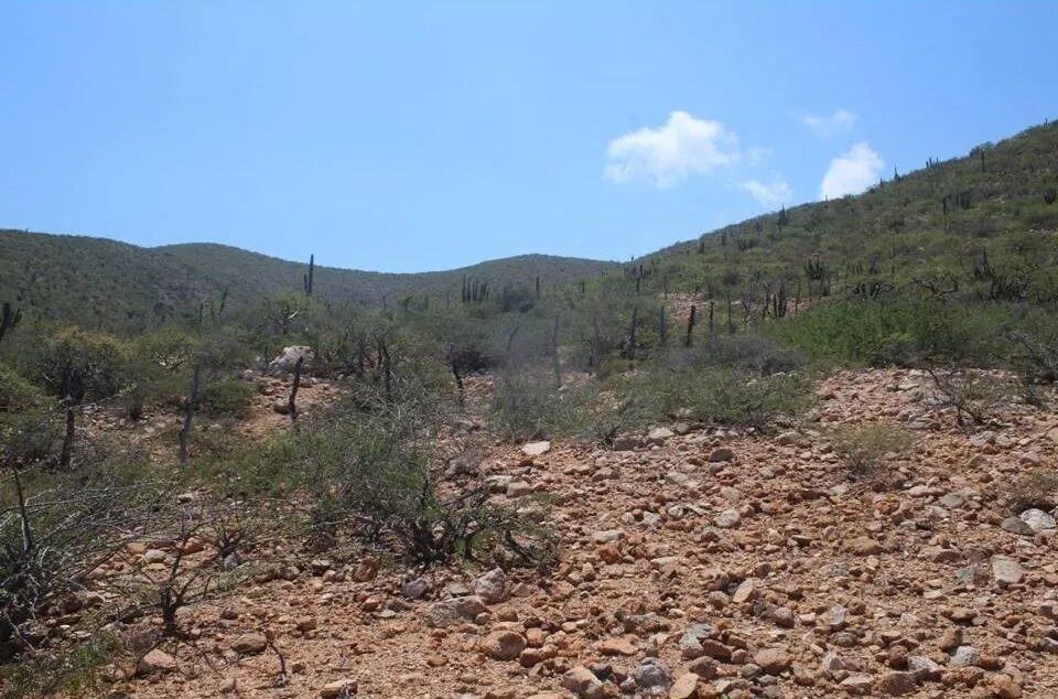 Punta Pescadero, Los Barriles, East Cape, photo 4