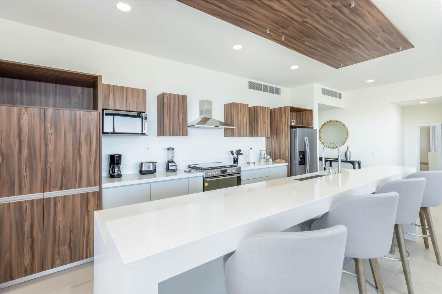 Seller Finance D401, Tramonti, Cabo Corridor, photo 2