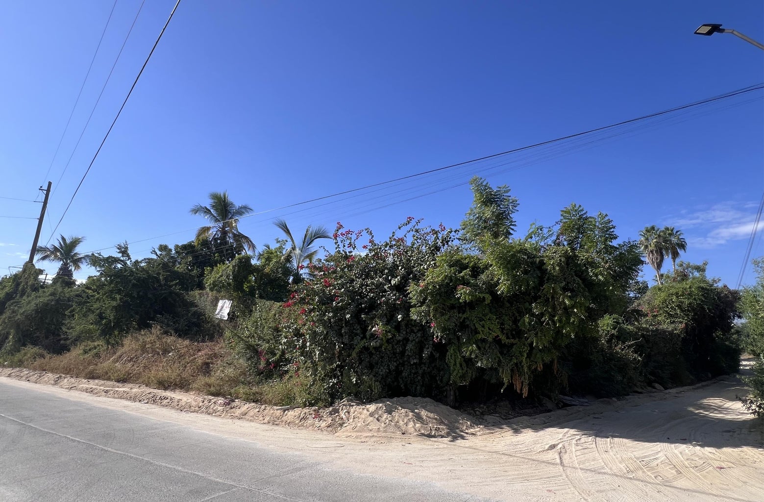 Esquina Playa Coromuel, El Rosarito, San Jose del Cabo, photo 5