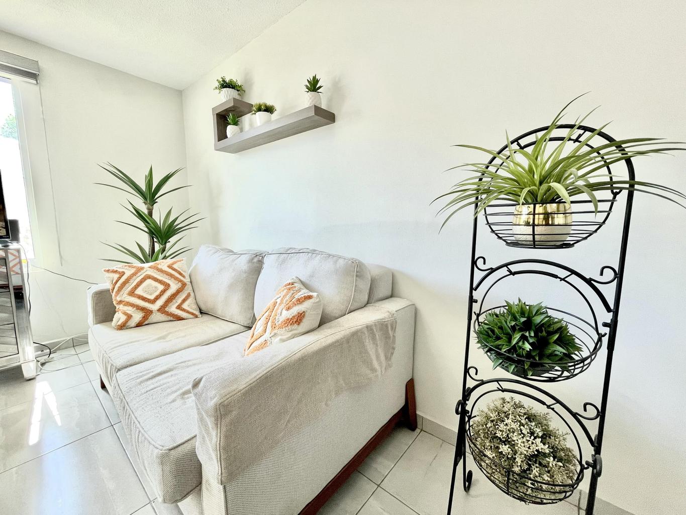 2224 del Valle, Colinas de San Jose, San Jose del Cabo, photo 4