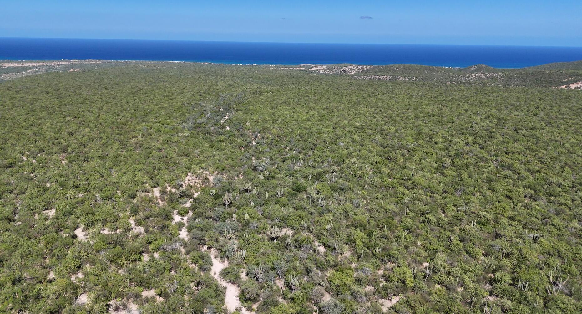 Lot in Las Tinas, East Cape, photo 5