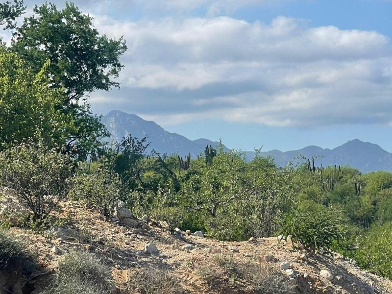 Lot in Las Tinas, East Cape