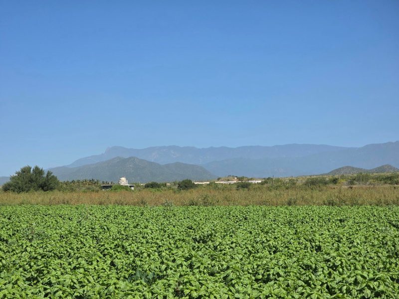 Lot in Pescadero, Pacific