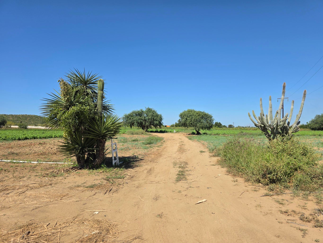 Lot in Pescadero, Pacific, photo 2