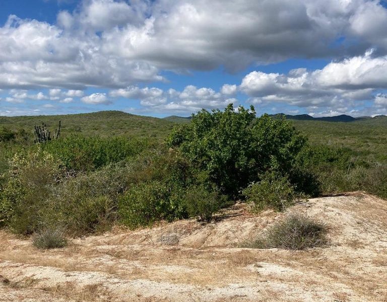 Lot in Costa de Oro, East Cape