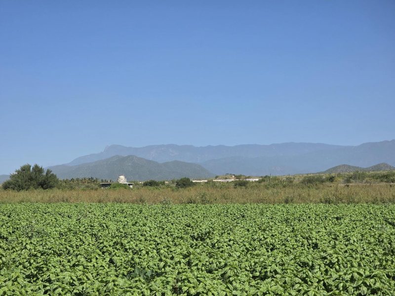 Lot in Pescadero, Pacific