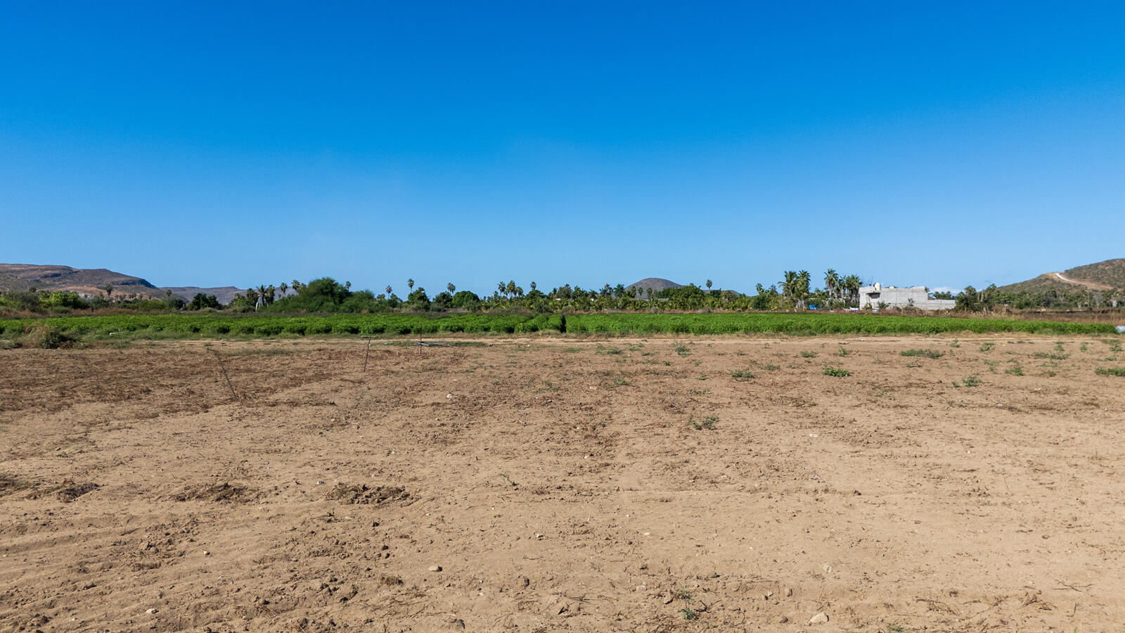 Lot in Calla Lily, Pacific, photo 5