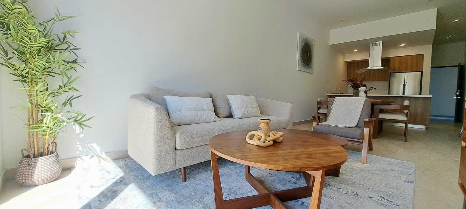 Idelfonso Green, Av Centenario A-201, Centro-SJD, San Jose del Cabo, photo 2