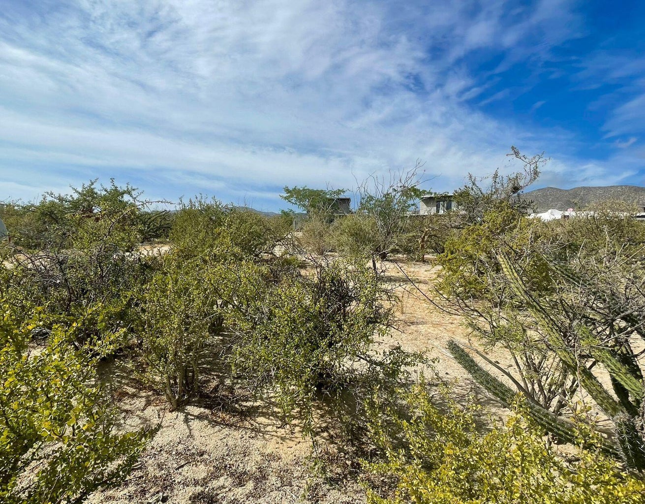 Lot in El Sargento, La Paz, photo 4