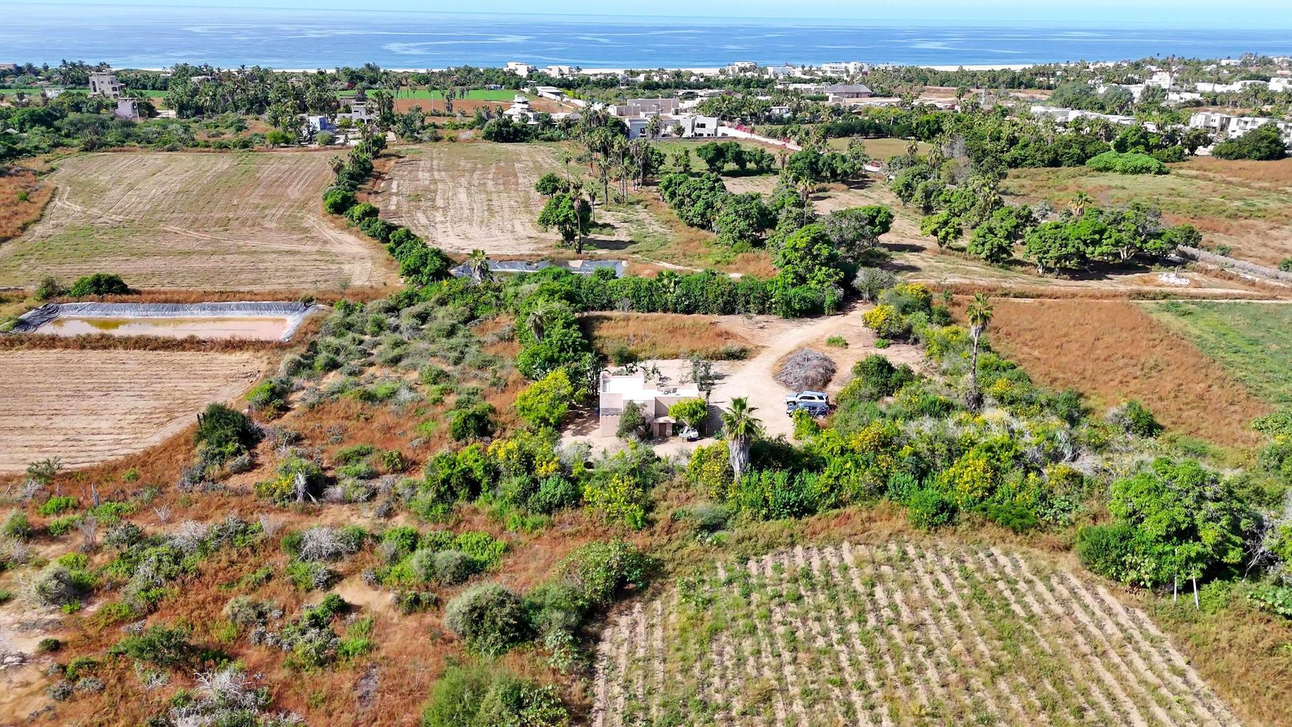 1-Bedroom House in Pescadero, Pacific, photo 3
