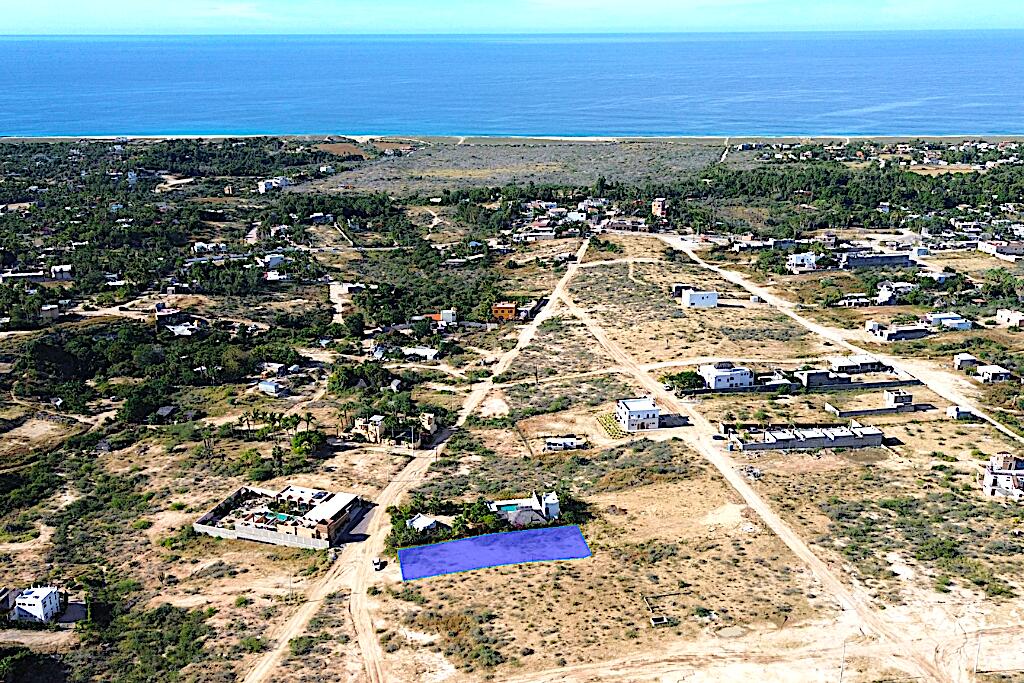 C. Osti, Ahorcadita, Pacific, photo 4
