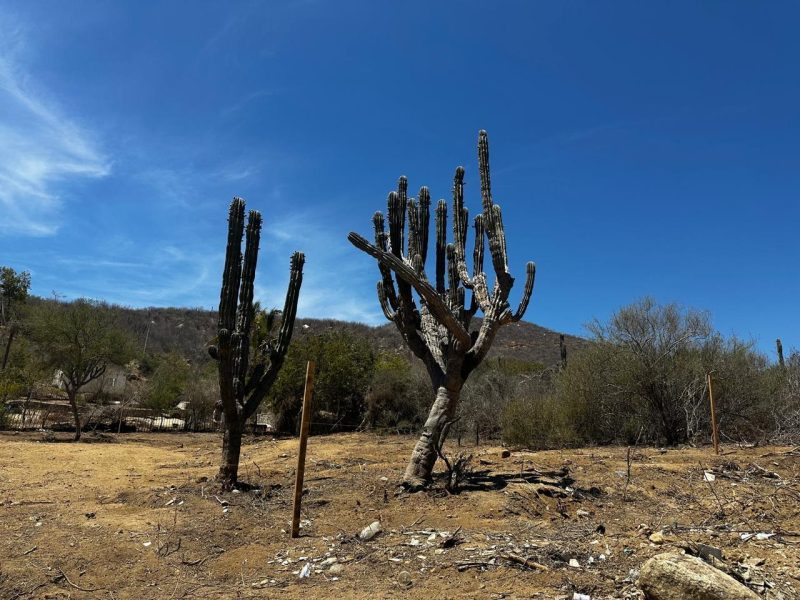 Lot in Buena Vista, East Cape